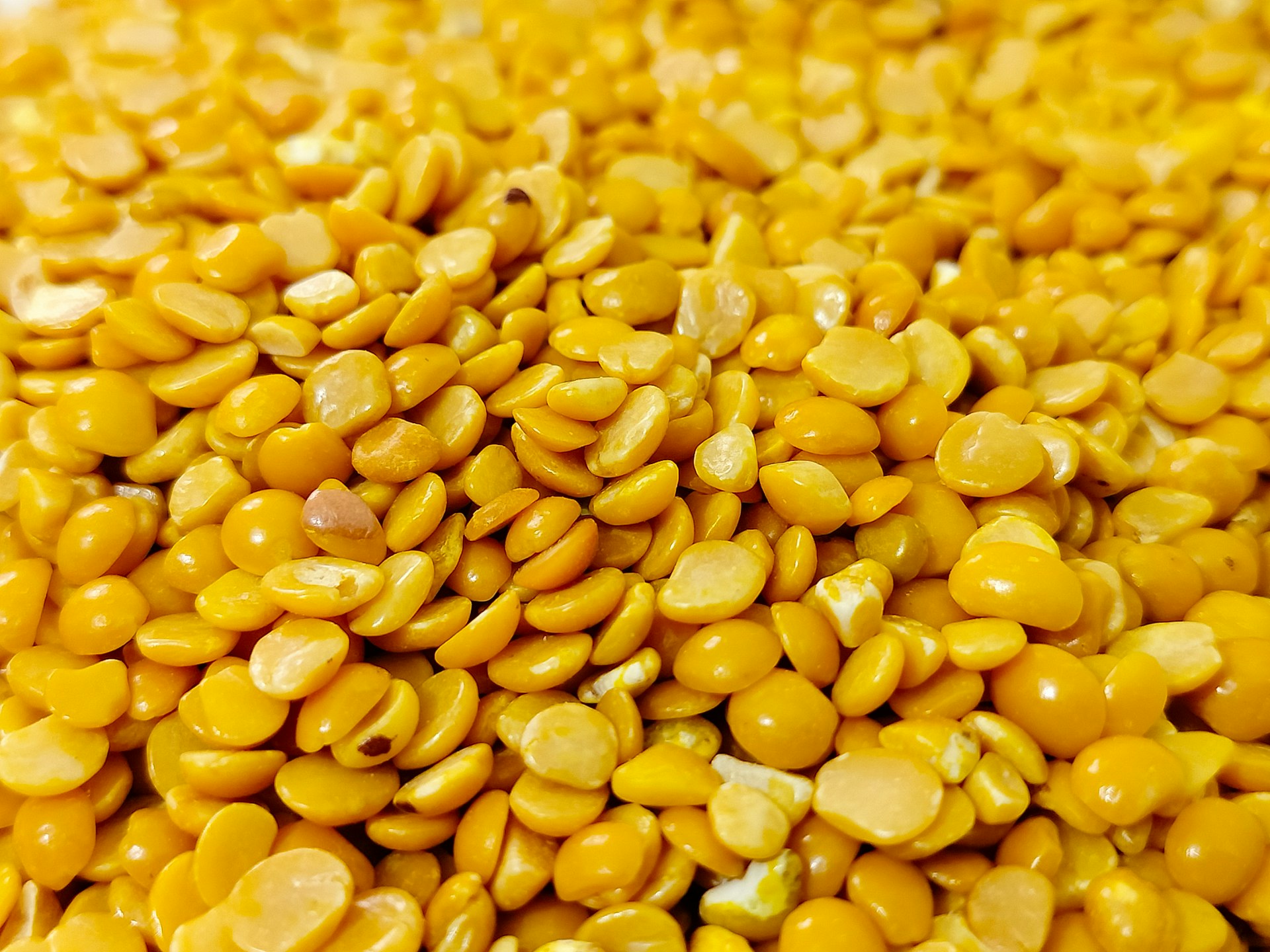 a close up of a pile of yellow corn